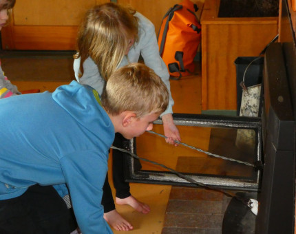 Toasting Marshmallows