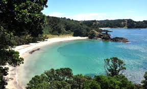 Waiheke Beaches